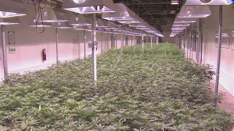 Ohio leaders meet to discuss how to roll out state's new recreational ...