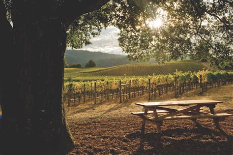 California Wine Country - The Traveling Locavores