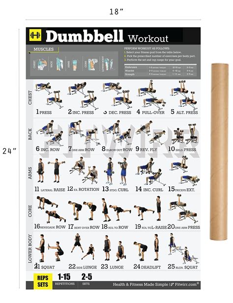 Dumbbell Exercises Workout Poster - Now Laminated - Home Gym - Workout Plans for Men - Free ...