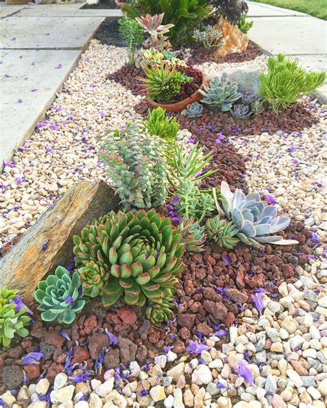 Pin by SerraGardens on DIY landscaping with succulents | Succulent ...