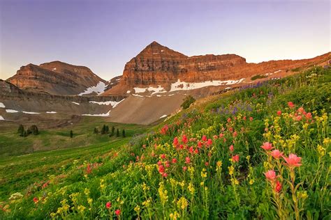 Uinta-Wasatch-Cache National Forest