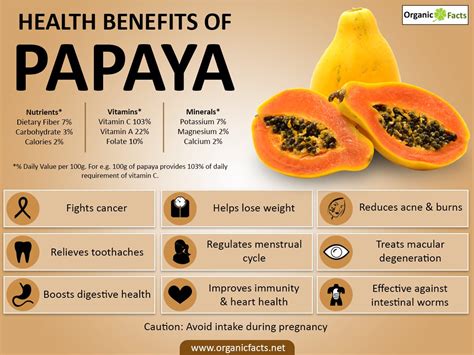 Health Benefits Of Papaya – JUST AMONG