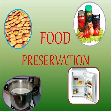 Different Methods of Food Preservation| African Food Network