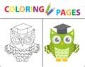 Owl Coloring Page Clipart Free Stock Photo - Public Domain Pictures
