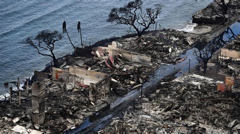 First Victims Of Maui Fire Identified: Why Identifying Fire Victims Is ...