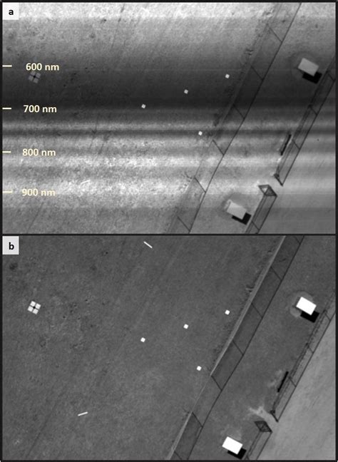 Image acquired with the hyperspectral camera (a) and the corresponding... | Download Scientific ...