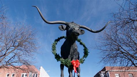 Texas Longhorn with nearly 11-foot horns breaks Guinness World Record