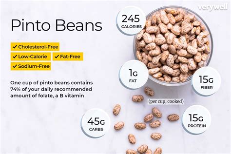 Pinto Beans Nutrition Facts and Health Benefits