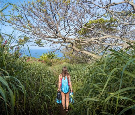 Captain Cook Monument Trail: Everything You Need to Know - Uprooted ...