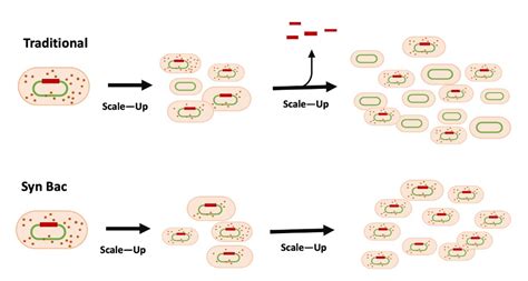 Ultra-Stable Baculovirus System for Expression Scale Up- S… | Flickr