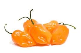 Alternative health tips, healthy lifestyle choices: The Health Benefits Of Cameroon Pepper.