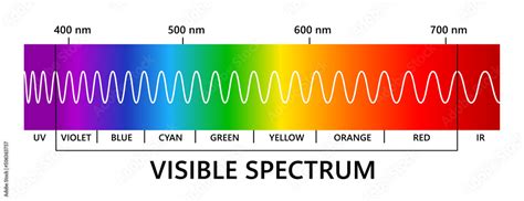 Vecteur Stock Visible light spectrum, infared and ultraviolet. Light wavelength. Electromagnetic ...