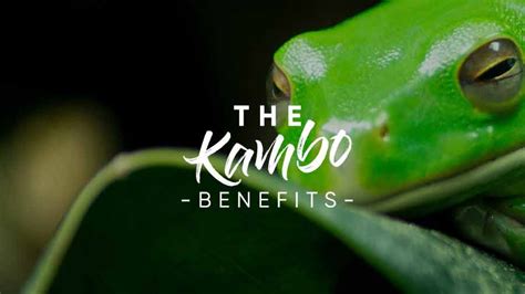 The Benefits of Kambo