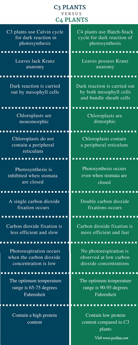 Difference Between C3 and C4 Plants | Definition, Characteristics ...