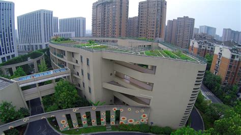 Pujia Primary School rooftop garden « Inhabitat – Green Design ...