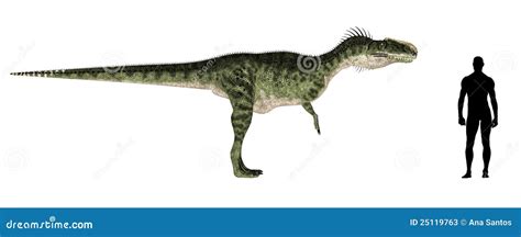 Monolophosaurus Size Comparison Stock Image | CartoonDealer.com #25119763