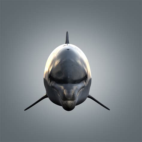 3d model of realistic dolphin