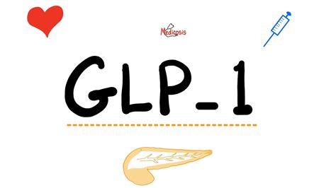 Mechanism Of Action Of GLP 1 Agonists