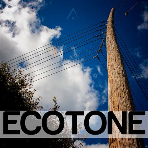 ECOTONE | Altus | Altus Music