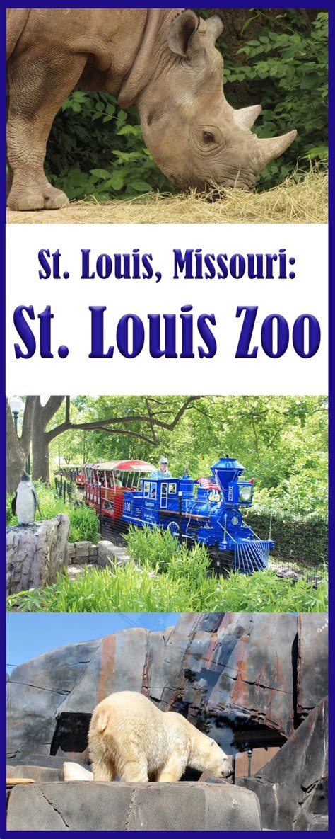 St. Louis, Missouri: St. Louis Zoo - have-kids-will-travel.com