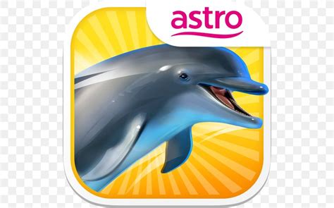 Common Bottlenose Dolphin Short-beaked Common Dolphin Wholphin Tucuxi Dolphin Paradise: Wild ...