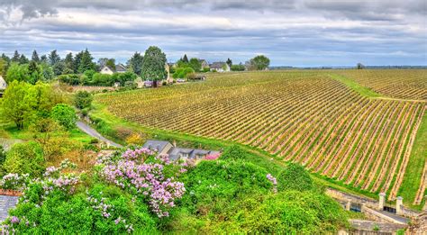 Private Three Day Loire Valley Wine Tour - Paris Luxury Tours