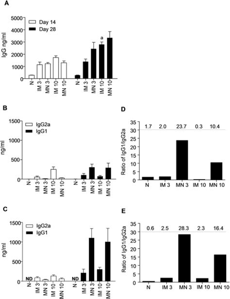 (A) Total serum IgG titers determined on days 14 and 28 after ...