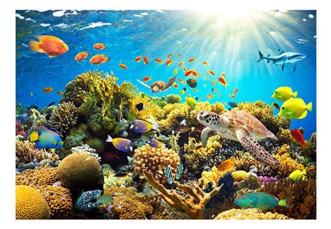 Self adhesive wallpaper underwater landscape | Dovido.com