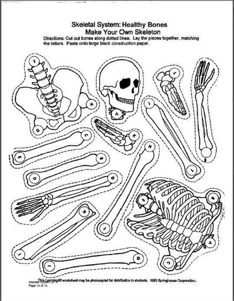 Printable Skeletal System Worksheet Pdf – Thekidsworksheet