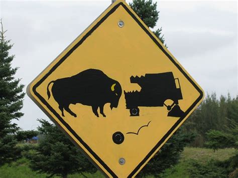 Buffalo road sign at Delta Junction, Alaska | Road sign at D… | Flickr