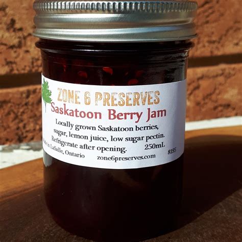 Saskatoon Berry Jam – Zone 6 Preserves