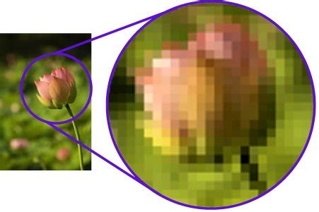 Tipos de imagen. Imágenes rasterizadas y vectorizadas - Grupo TICC