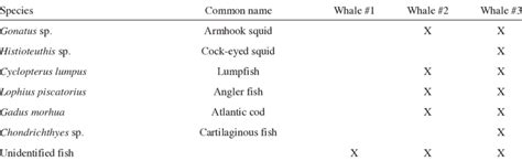 Prey species identified from sperm whale (Physeter macrocephalus ...