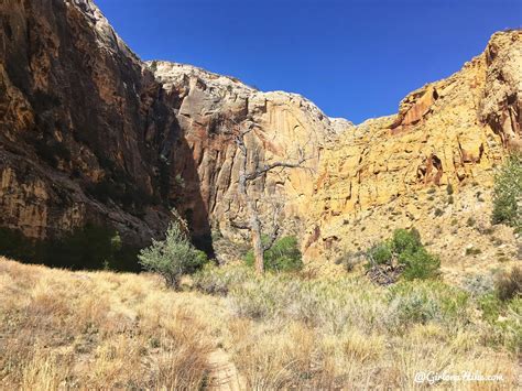 Backpacking the Escalante River Trail - Girl on a Hike