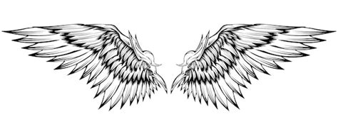 Premium Vector | Vector angel wings tattoo design