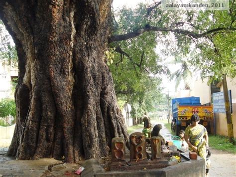 Aalayam Kanden (Temples I saw): Shiva Vishnu Temple, Mudichur - A temple for Marriage Prayers