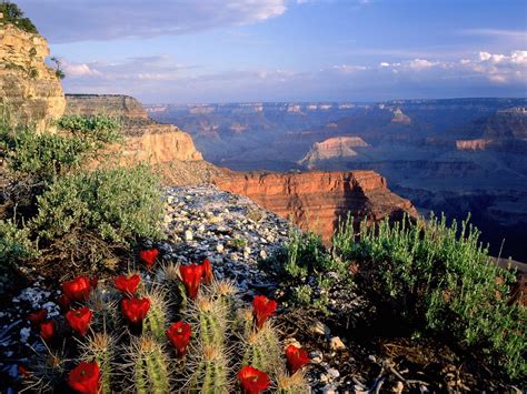 Top 10 Best National Parks in the World