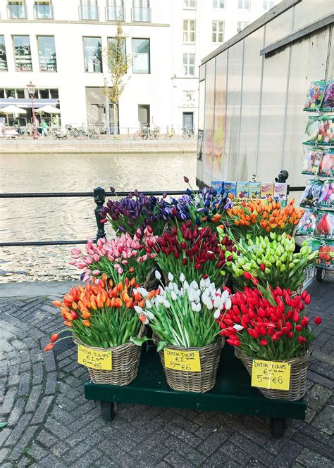 15 Things To Do and Eat in Amsterdam - Jamie Kamber | Farmers market flowers, Beautiful flowers ...