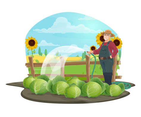 Irrigation Cartoons Stock Photos, Pictures & Royalty-Free Images - iStock