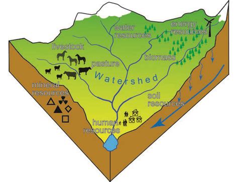 What is a watershed? • Learning Content • Department of Earth Sciences