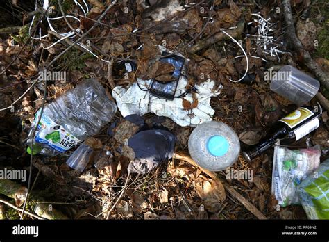 Scattered belongings on the floor of the Aokigahara suicide forest in ...