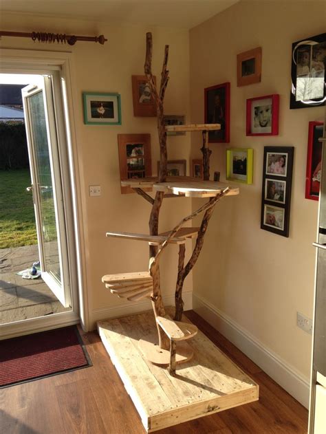 Home made cat activity tree using pallets and broken branches | Cat trees homemade, Cat tree ...