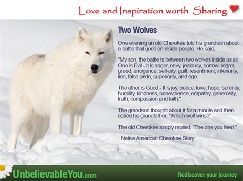 A Native American Cherokee Story – Two Wolves | UnbelievableYou