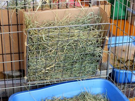 diy rabbit hay feeder - Google Search | Hay racks, Diy hay feeder, Rabbit hay