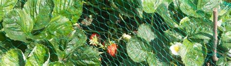 Plant Protection Netting - Home, Garden & Lifestyle