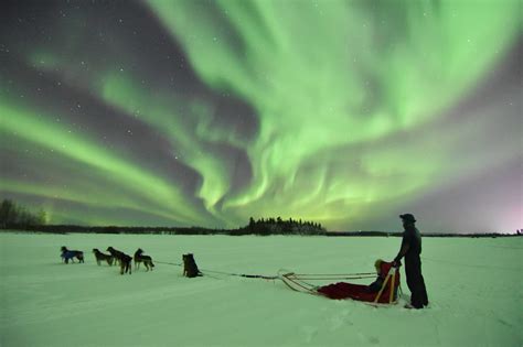 Northern Lights Tours 2022