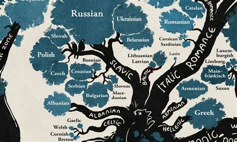 AN INDO-URALIC LANGUAGE TREE. The Indo-European language family and the Uralic languages like ...