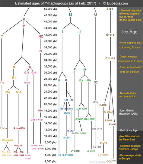 Origins and history of European Y-DNA and mtDNA haplogroups - Eupedia