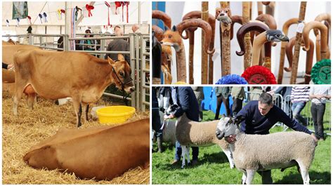 Westmorland County Show cancelled due to Covid-19 | ITV News Border