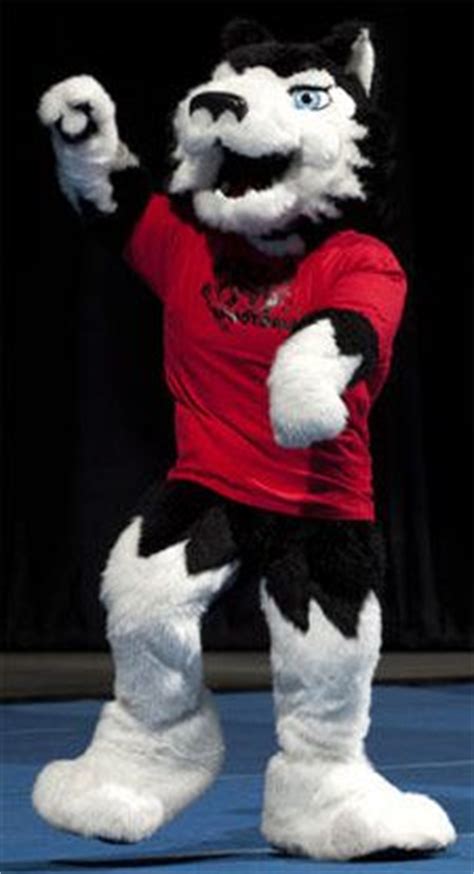 Miami University RedHawks costumed mascot - Swoop | Miami University RedHawks | Pinterest ...